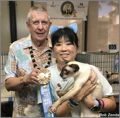 Fuji Felines  Obi-One Kolohe